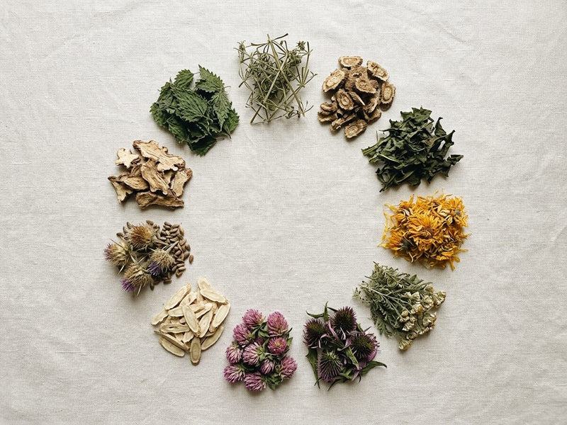 11 Lymphatic Botanicals. Full Traditional Doses. No Math Tricks.